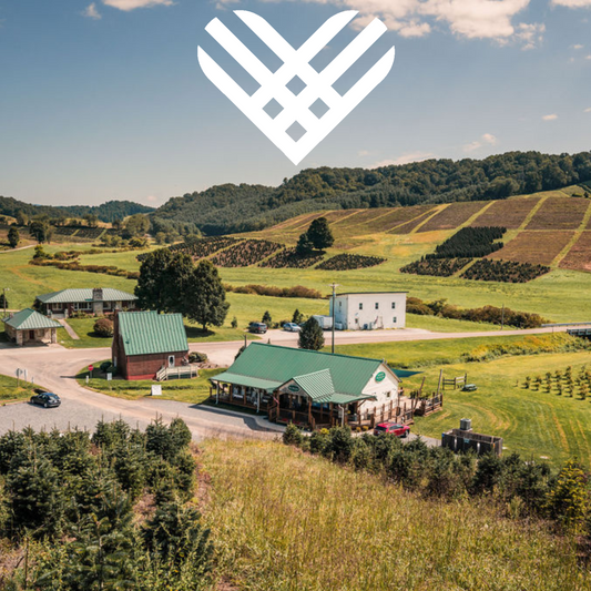 Giving Tuesday at The Old Store