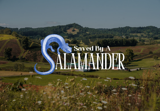 Saved by a Salamander: Honoring the New River’s Story and Its Conservation Heroes