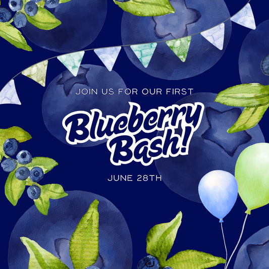 Blueberry Bash at The Old Store: A Sweet Summer Celebration