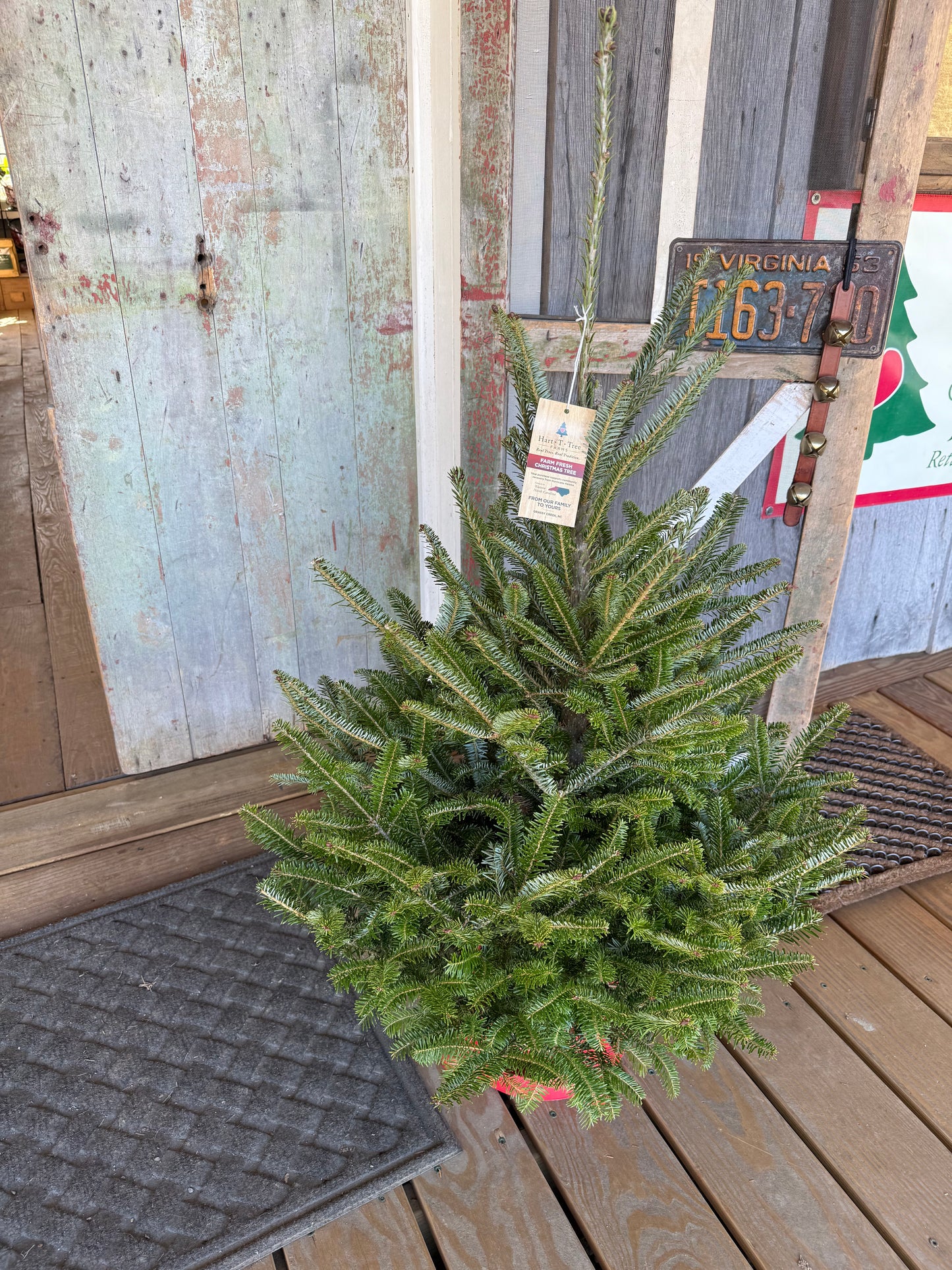 Mini Christmas Tree with Lights