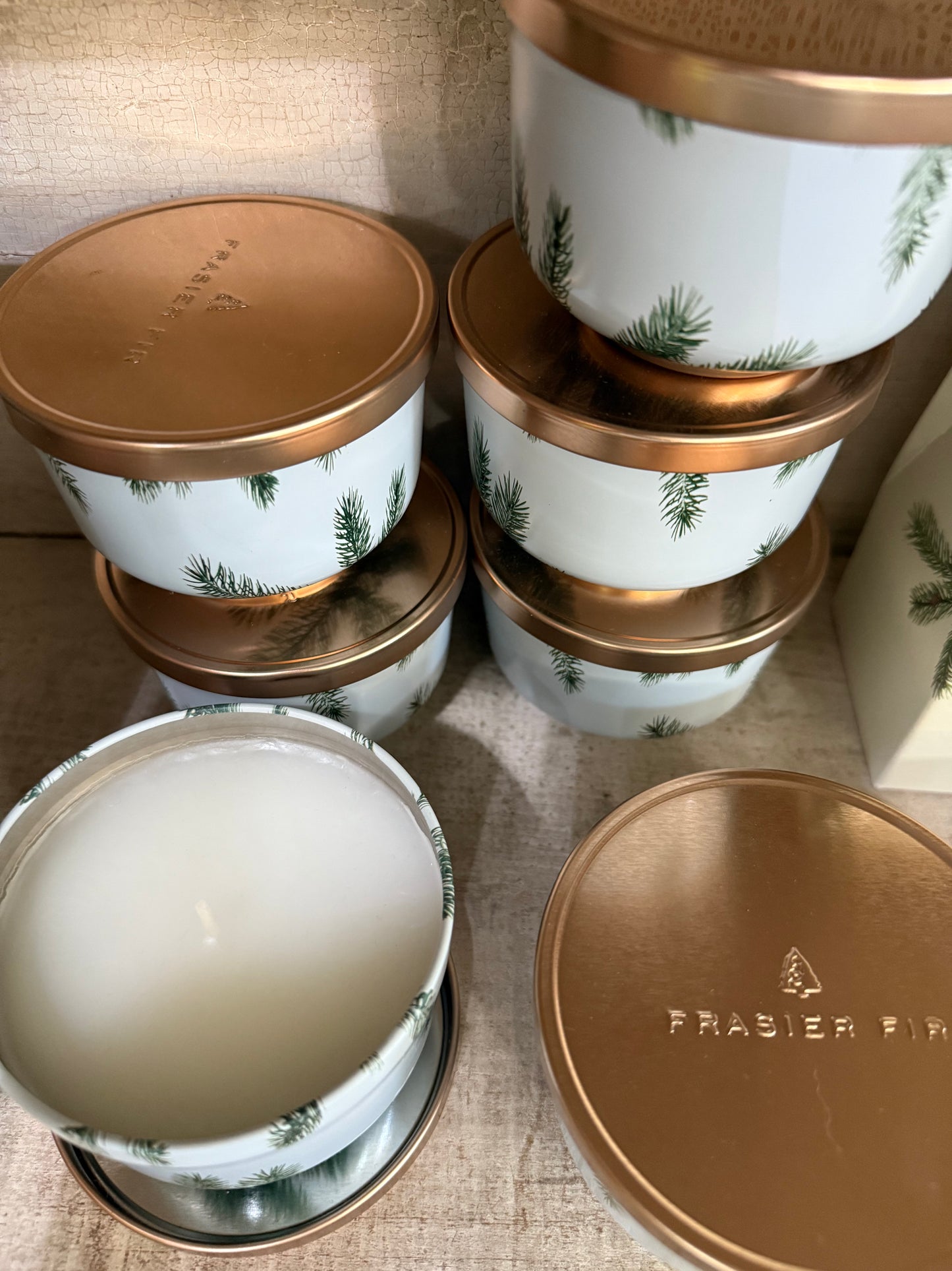 Thymes Frasier Fir Poured Candle with Gold Lid
