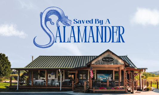 Saved by a Salamander Day 2024