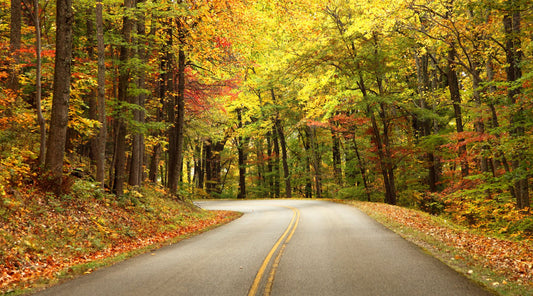 A beautiful fall road with trees of many colors
