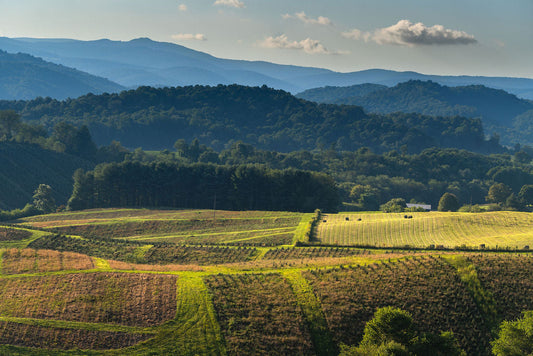 Hidden Gems in Ashe County, NC: Local Shops, Art & Things to Do Near West Jefferson