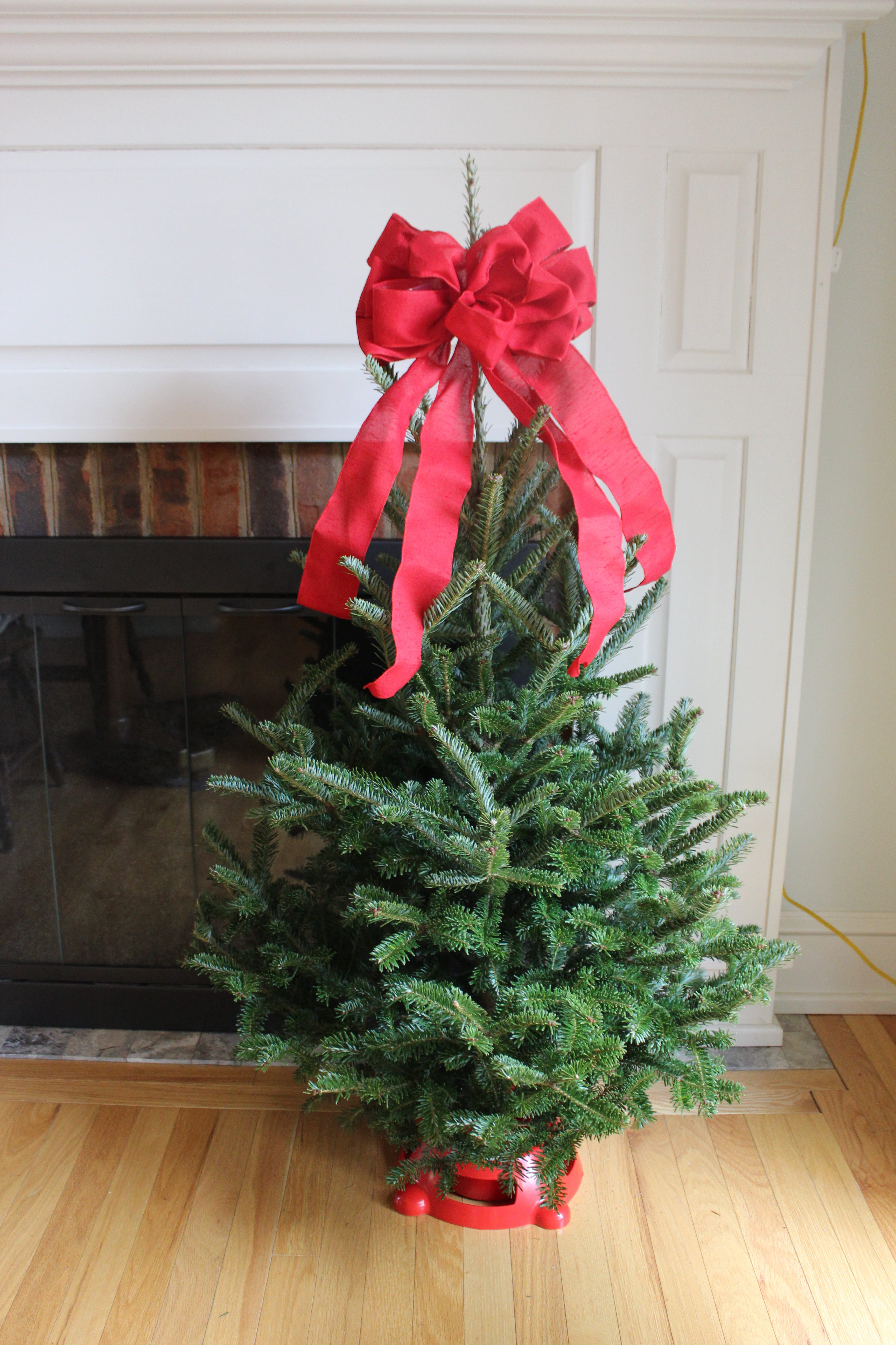 Mini Christmas Tree with Lights – The Old Store at Grassy Creek